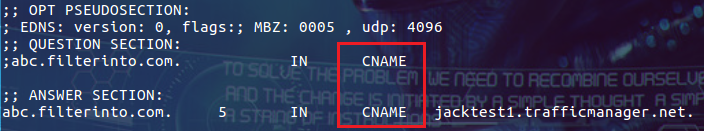 Linux的dig命令如何使用？