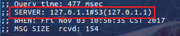 Linux的dig命令如何使用？