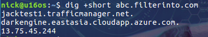 Linux的dig命令如何使用？