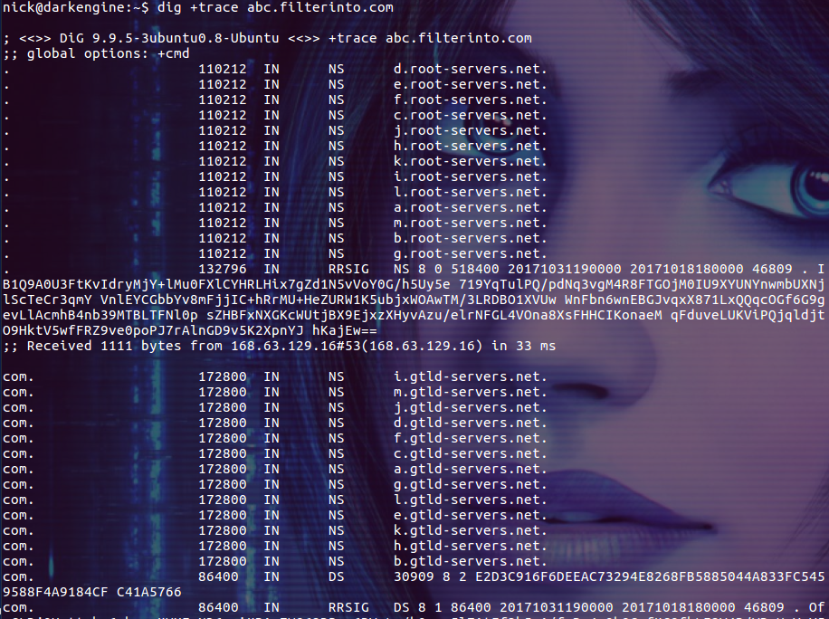 Linux的dig命令如何使用？
