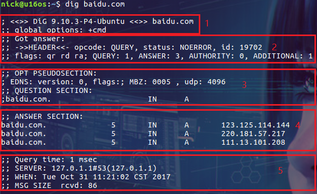 Linux的dig命令如何使用？